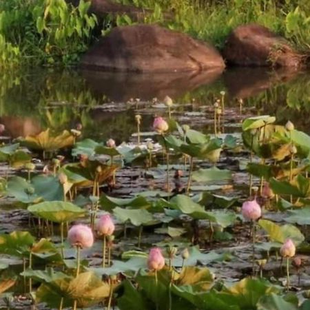 Fandee Island Treehouses & Ziplines - Tad Lo, Bolaven Loop Pakse Ban Kiangtat Экстерьер фото