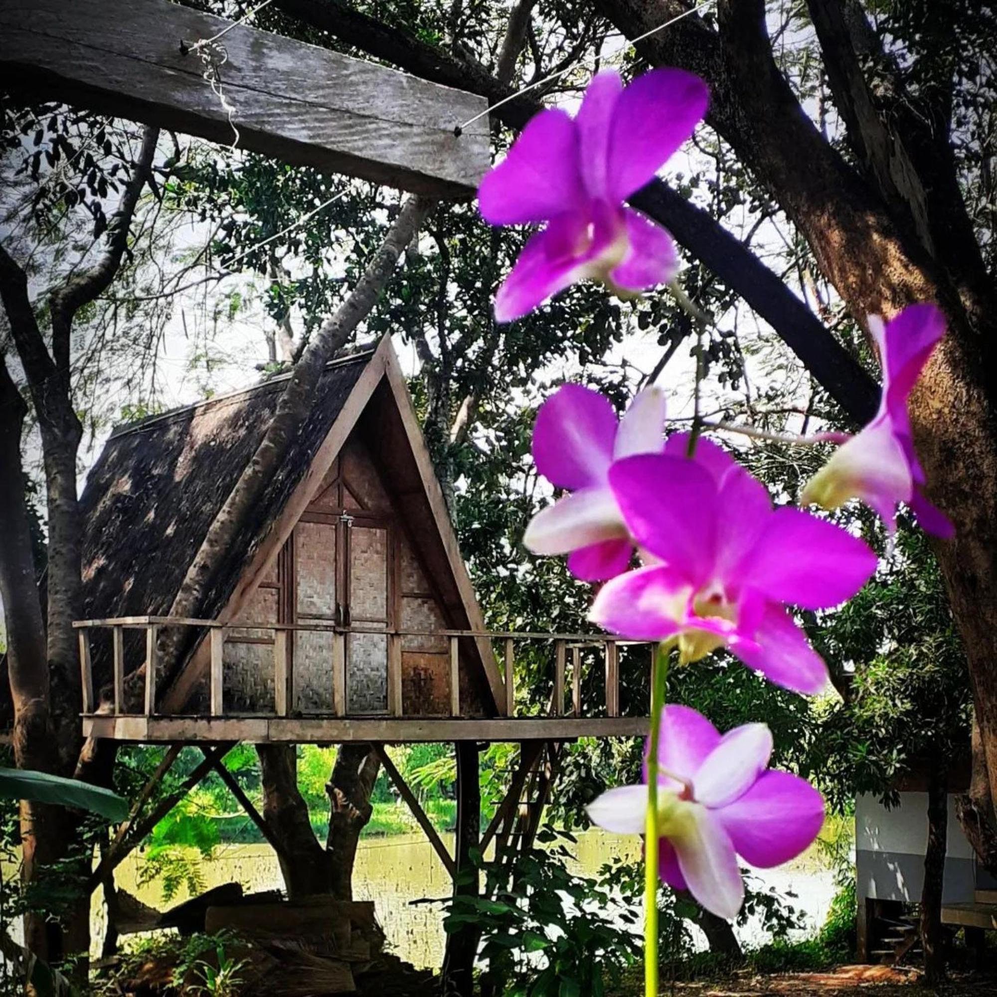 Fandee Island Treehouses & Ziplines - Tad Lo, Bolaven Loop Pakse Ban Kiangtat Экстерьер фото