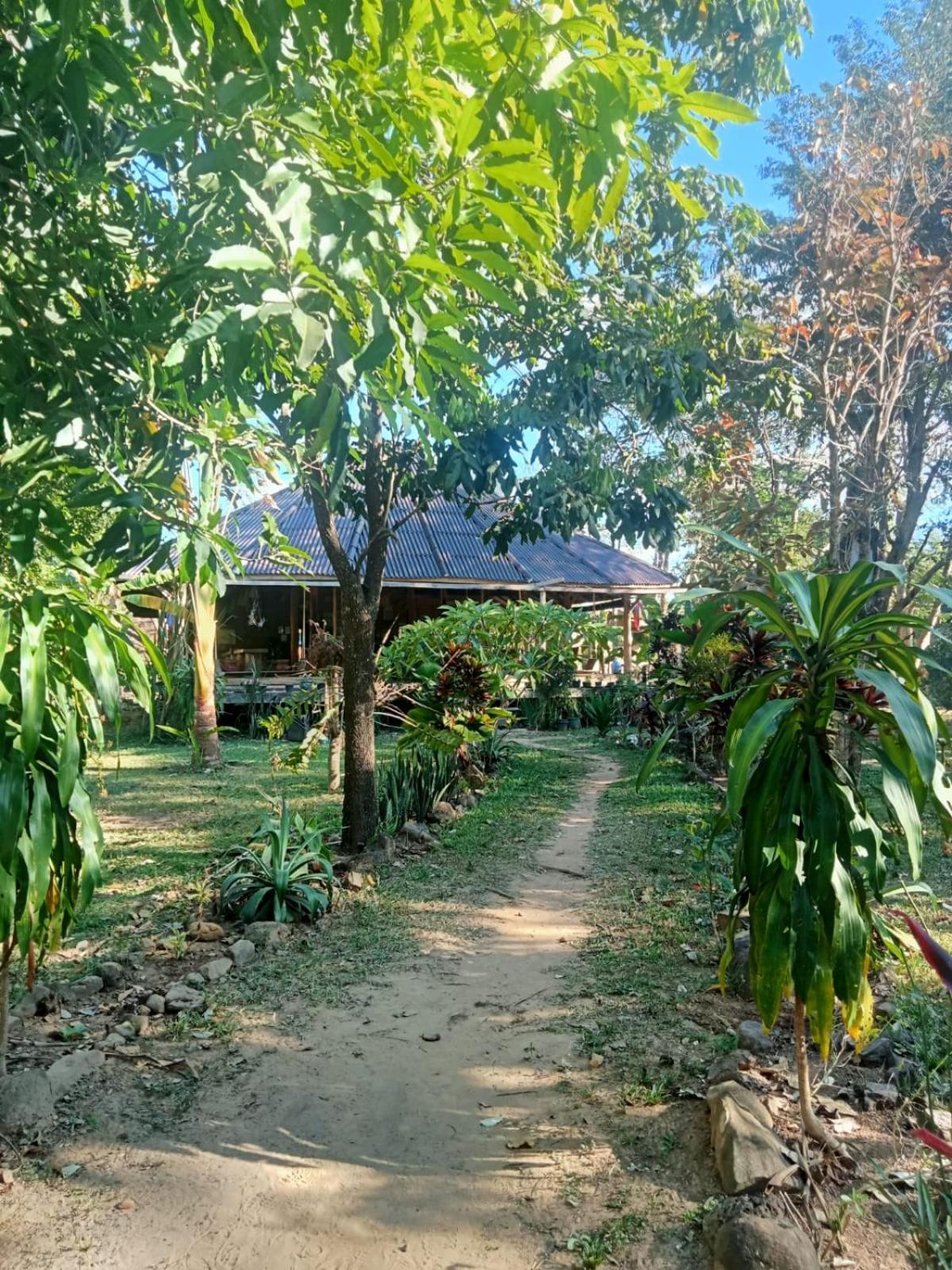 Fandee Island Treehouses & Ziplines - Tad Lo, Bolaven Loop Pakse Ban Kiangtat Экстерьер фото